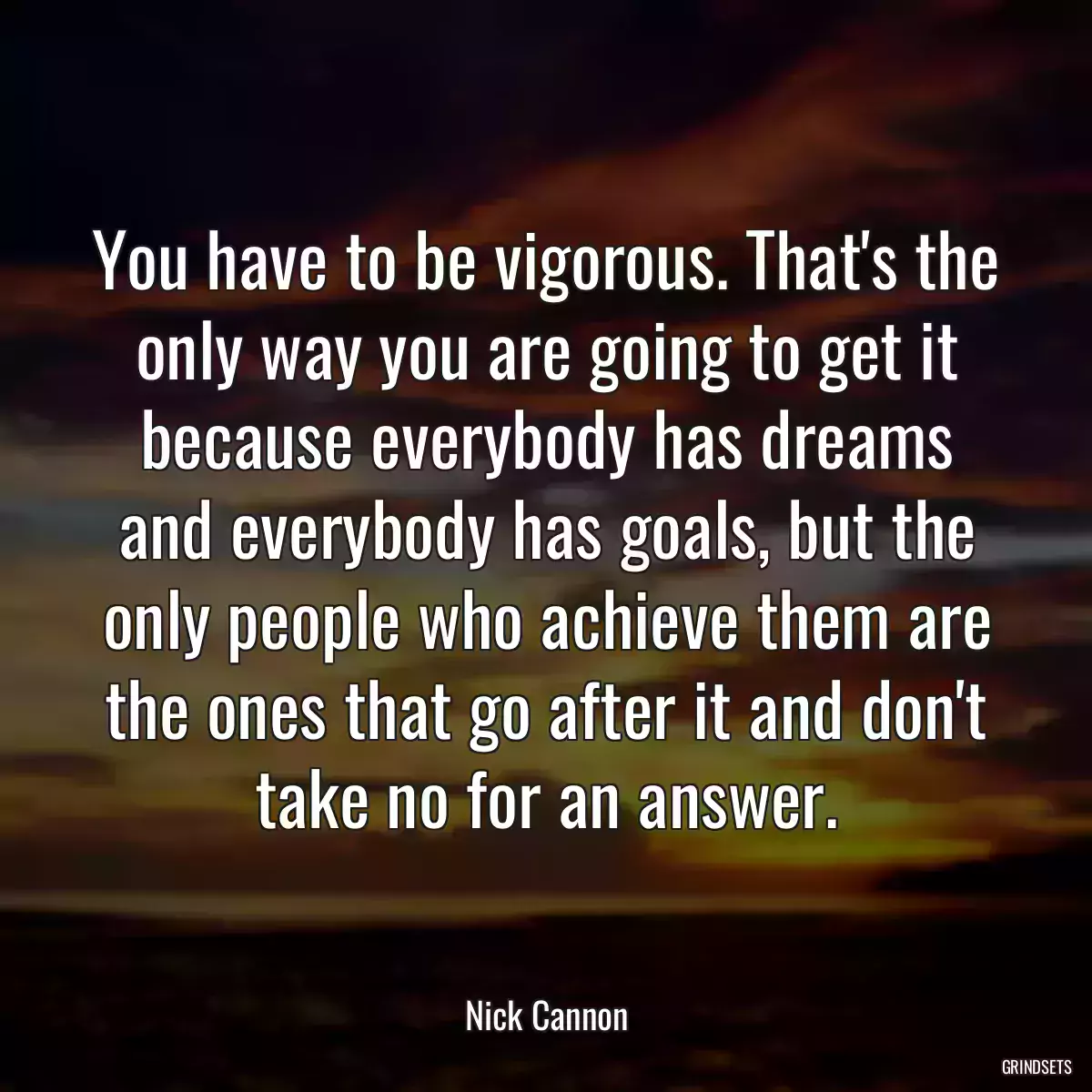 You have to be vigorous. That\'s the only way you are going to get it because everybody has dreams and everybody has goals, but the only people who achieve them are the ones that go after it and don\'t take no for an answer.