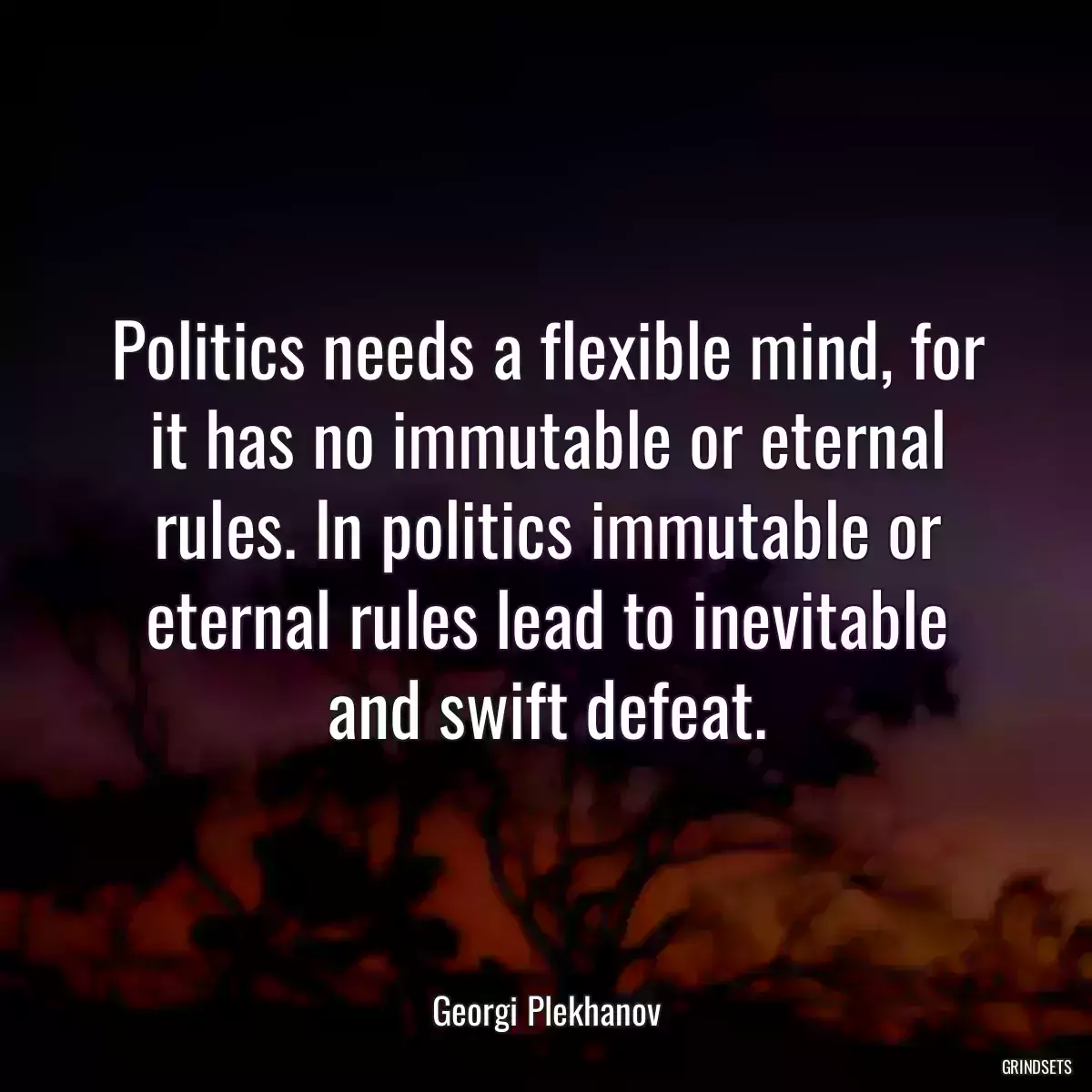 Politics needs a flexible mind, for it has no immutable or eternal rules. In politics immutable or eternal rules lead to inevitable and swift defeat.