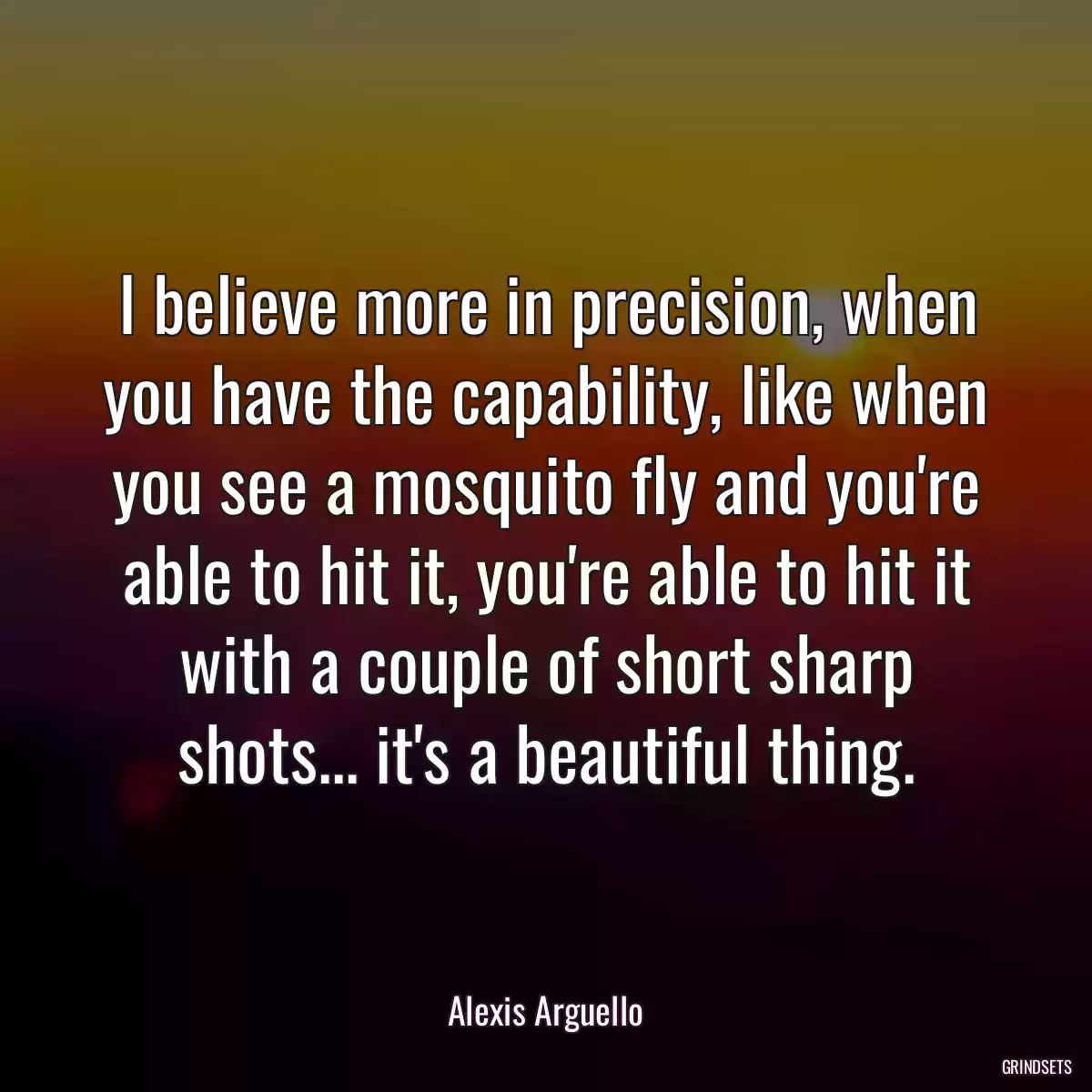 I believe more in precision, when you have the capability, like when you see a mosquito fly and you\'re able to hit it, you\'re able to hit it with a couple of short sharp shots... it\'s a beautiful thing.