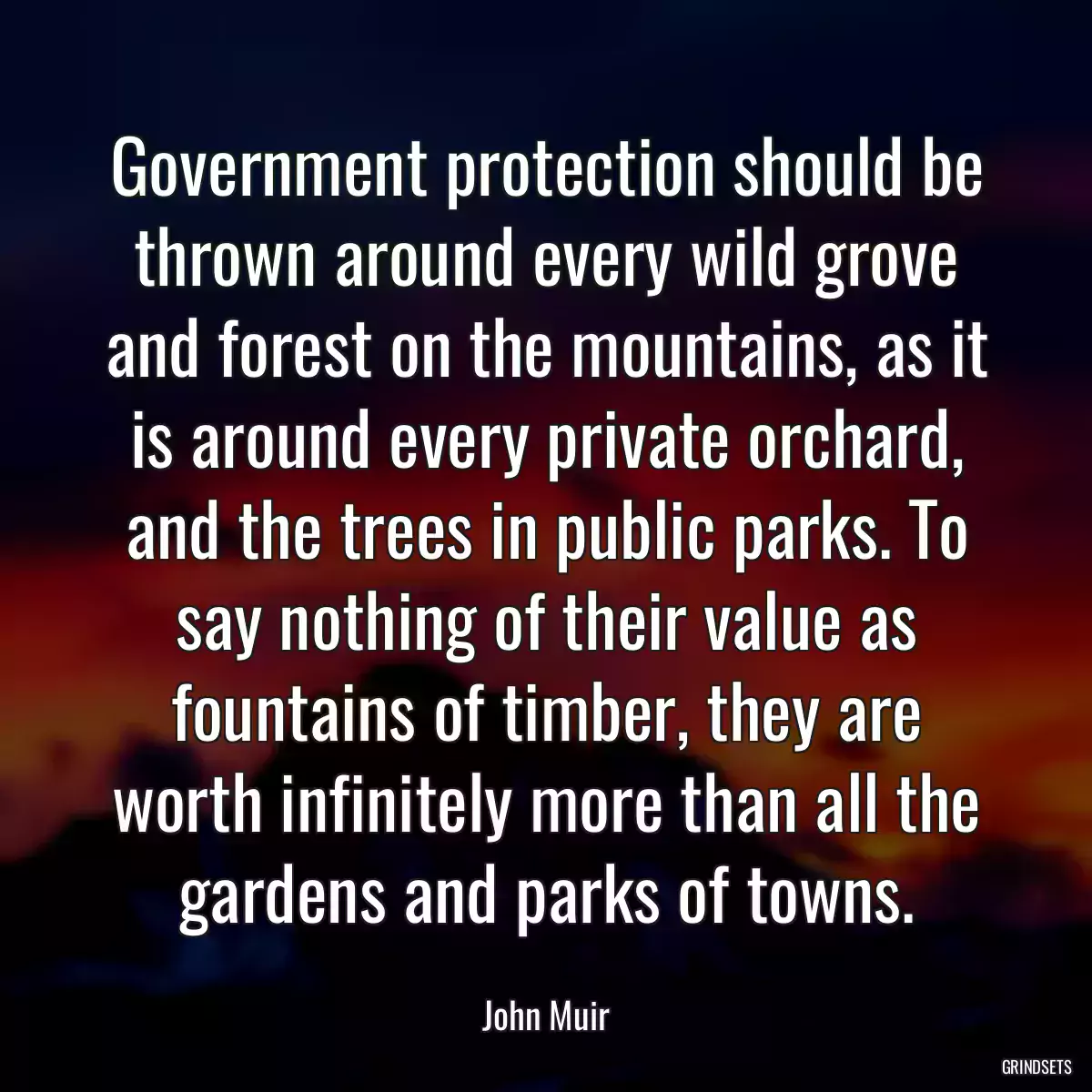 Government protection should be thrown around every wild grove and forest on the mountains, as it is around every private orchard, and the trees in public parks. To say nothing of their value as fountains of timber, they are worth infinitely more than all the gardens and parks of towns.