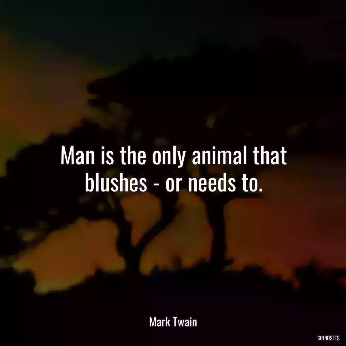Man is the only animal that blushes - or needs to.