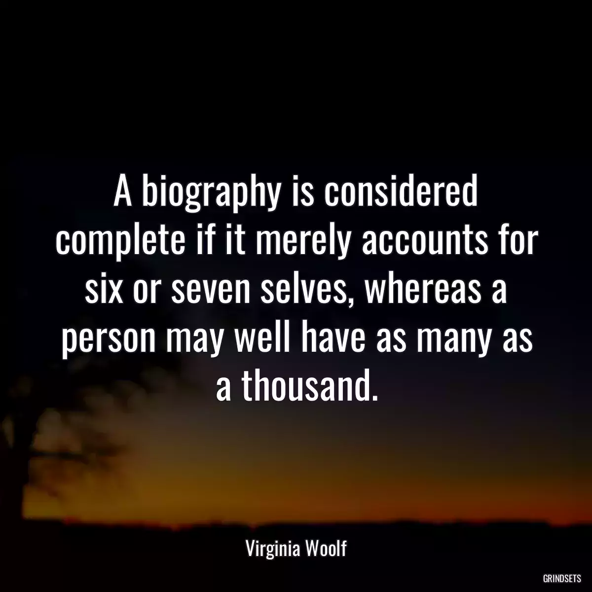 A biography is considered complete if it merely accounts for six or seven selves, whereas a person may well have as many as a thousand.