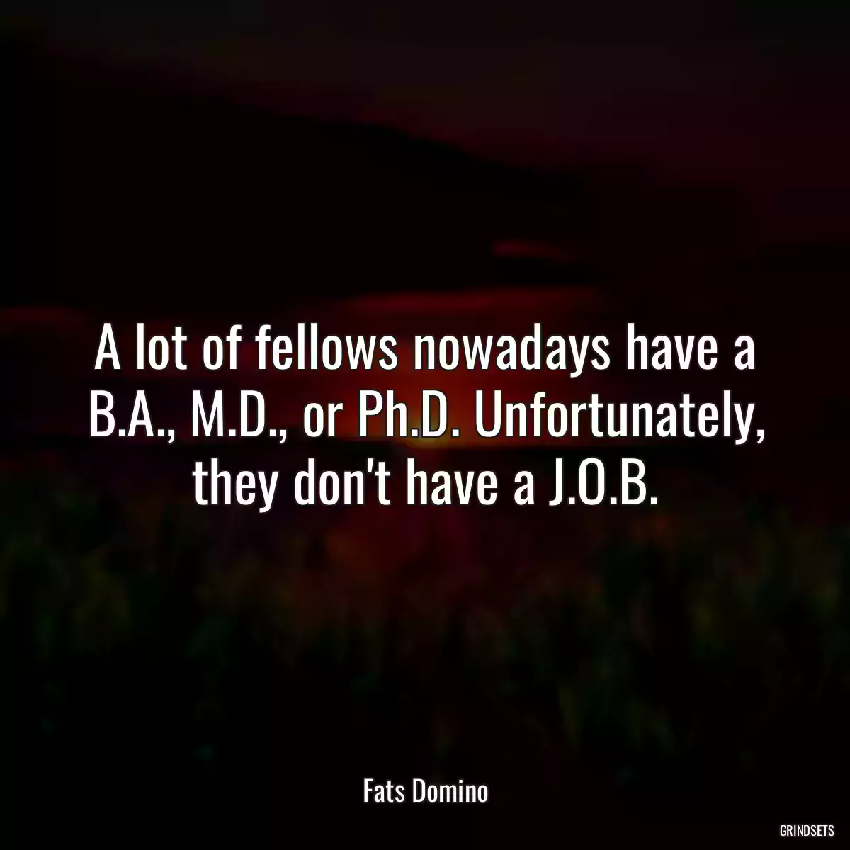 A lot of fellows nowadays have a B.A., M.D., or Ph.D. Unfortunately, they don\'t have a J.O.B.