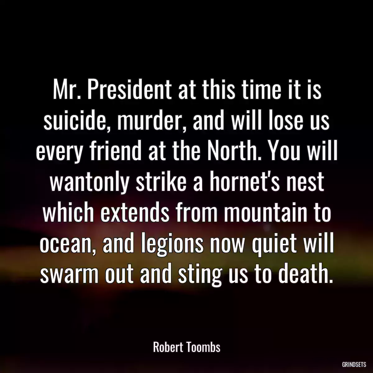 Mr. President at this time it is suicide, murder, and will lose us every friend at the North. You will wantonly strike a hornet\'s nest which extends from mountain to ocean, and legions now quiet will swarm out and sting us to death.