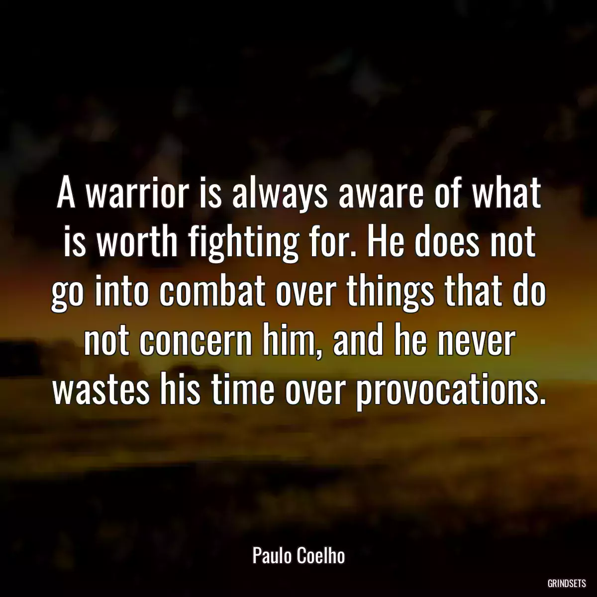 A warrior is always aware of what is worth fighting for. He does not go into combat over things that do not concern him, and he never wastes his time over provocations.