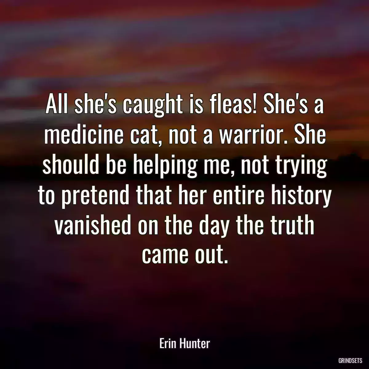 All she\'s caught is fleas! She\'s a medicine cat, not a warrior. She should be helping me, not trying to pretend that her entire history vanished on the day the truth came out.