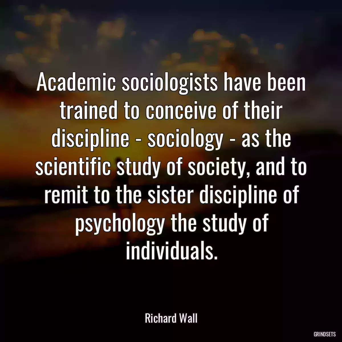 Academic sociologists have been trained to conceive of their discipline - sociology - as the scientific study of society, and to remit to the sister discipline of psychology the study of individuals.