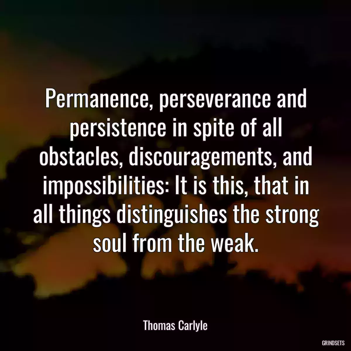 Permanence, perseverance and persistence in spite of all obstacles, discouragements, and impossibilities: It is this, that in all things distinguishes the strong soul from the weak.