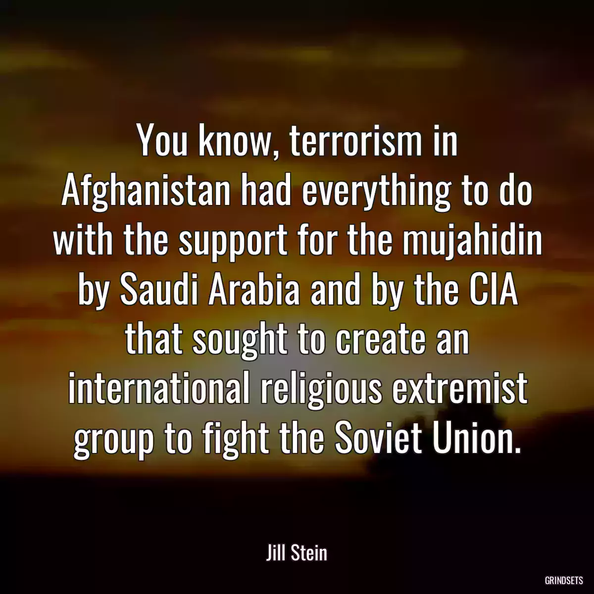 You know, terrorism in Afghanistan had everything to do with the support for the mujahidin by Saudi Arabia and by the CIA that sought to create an international religious extremist group to fight the Soviet Union.