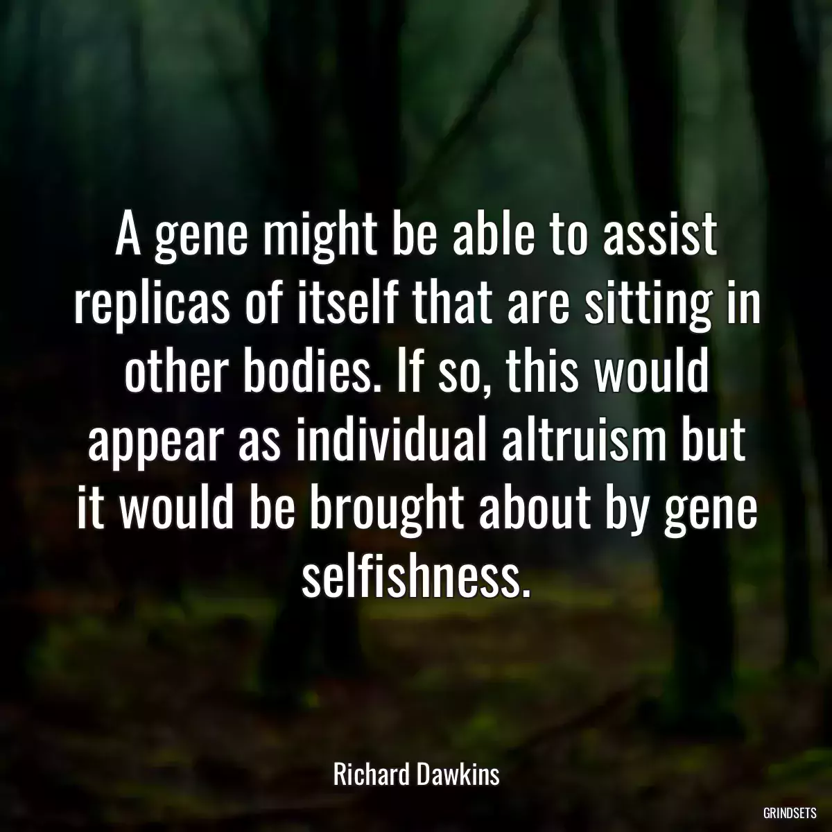 A gene might be able to assist replicas of itself that are sitting in other bodies. If so, this would appear as individual altruism but it would be brought about by gene selfishness.