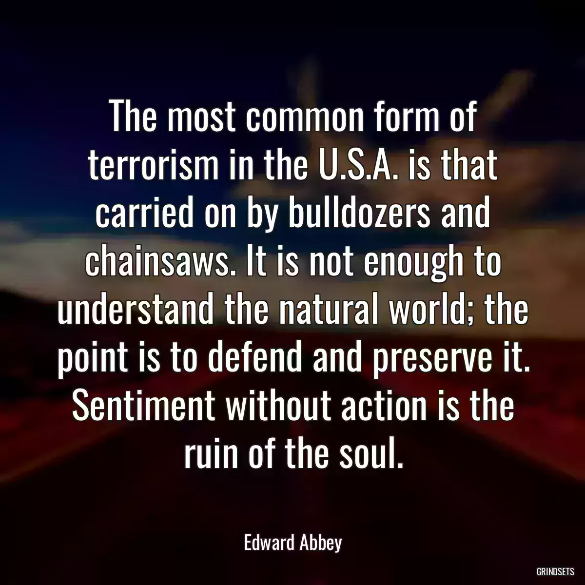 The most common form of terrorism in the U.S.A. is that carried on by bulldozers and chainsaws. It is not enough to understand the natural world; the point is to defend and preserve it. Sentiment without action is the ruin of the soul.