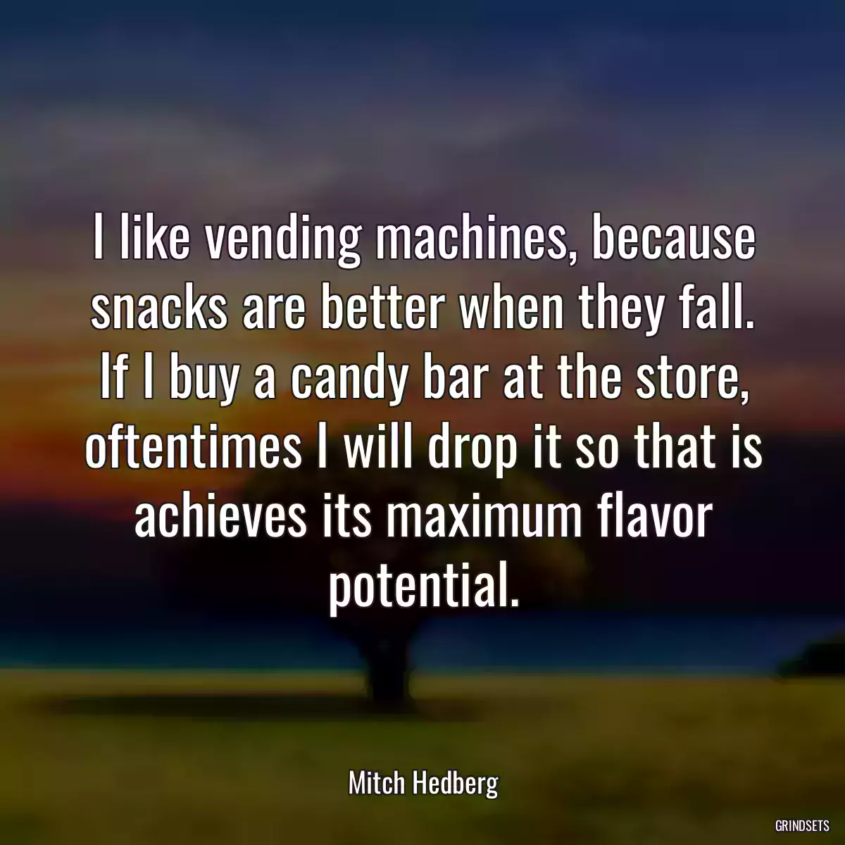 I like vending machines, because snacks are better when they fall. If I buy a candy bar at the store, oftentimes I will drop it so that is achieves its maximum flavor potential.