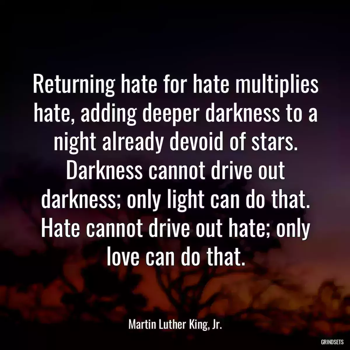 Returning hate for hate multiplies hate, adding deeper darkness to a night already devoid of stars. Darkness cannot drive out darkness; only light can do that. Hate cannot drive out hate; only love can do that.