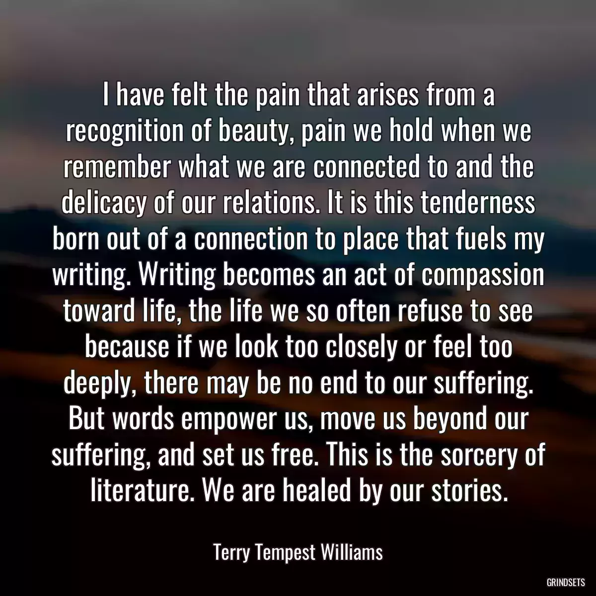 I have felt the pain that arises from a recognition of beauty, pain we hold when we remember what we are connected to and the delicacy of our relations. It is this tenderness born out of a connection to place that fuels my writing. Writing becomes an act of compassion toward life, the life we so often refuse to see because if we look too closely or feel too deeply, there may be no end to our suffering. But words empower us, move us beyond our suffering, and set us free. This is the sorcery of literature. We are healed by our stories.