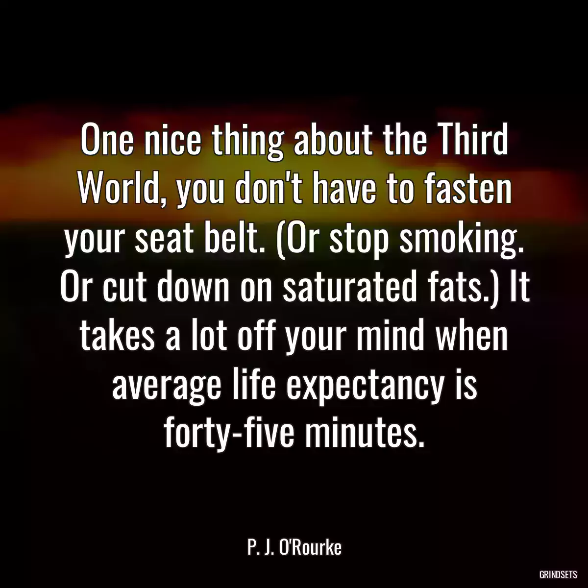 One nice thing about the Third World, you don\'t have to fasten your seat belt. (Or stop smoking. Or cut down on saturated fats.) It takes a lot off your mind when average life expectancy is forty-five minutes.