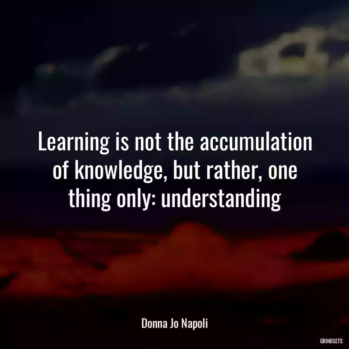 Learning is not the accumulation of knowledge, but rather, one thing only: understanding