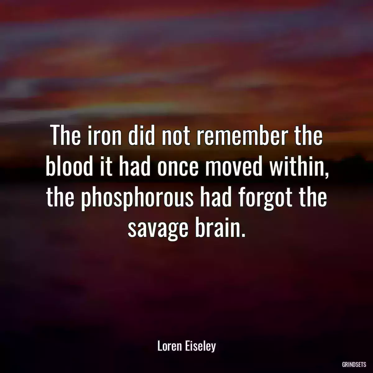 The iron did not remember the blood it had once moved within, the phosphorous had forgot the savage brain.