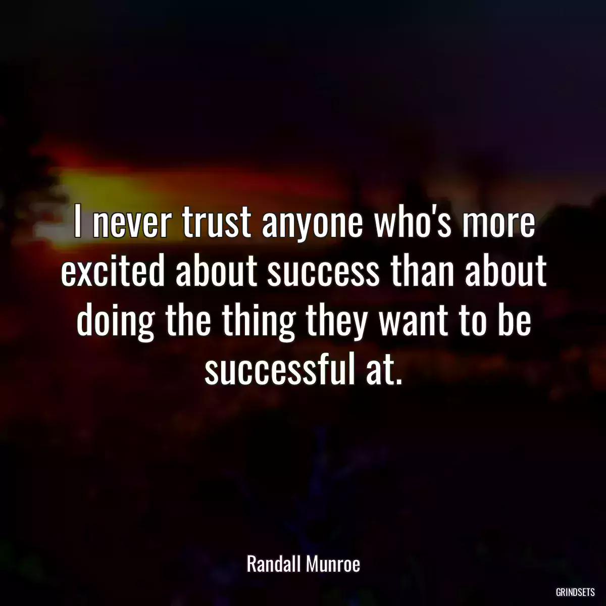 I never trust anyone who\'s more excited about success than about doing the thing they want to be successful at.