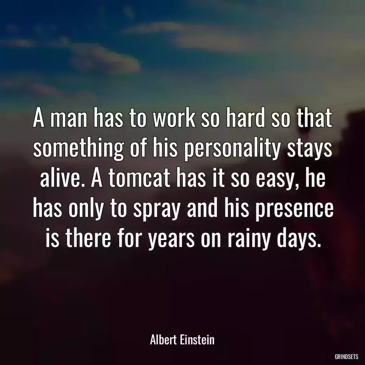 A man has to work so hard so that something of his personality stays alive. A tomcat has it so easy, he has only to spray and his presence is there for years on rainy days.