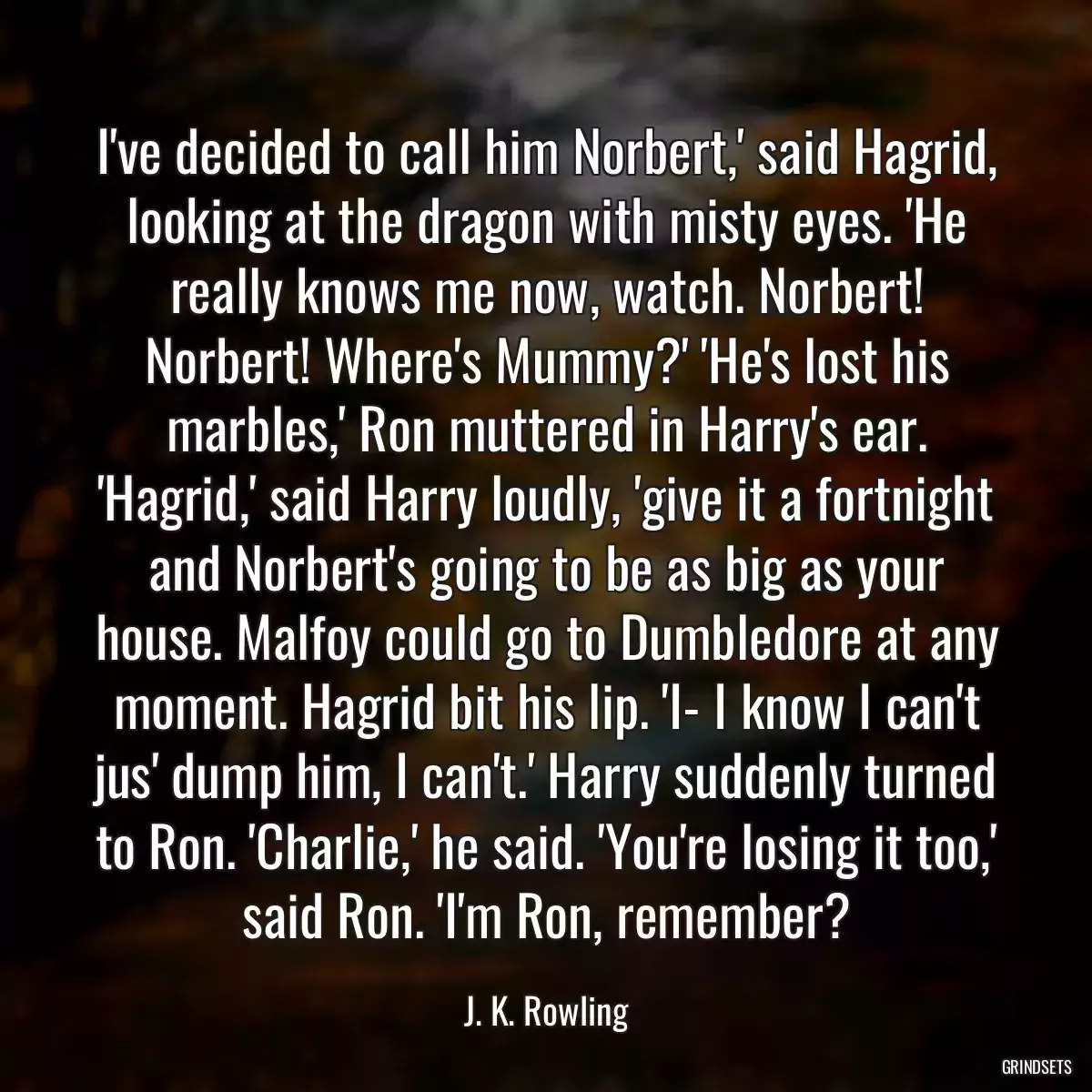 I\'ve decided to call him Norbert,\' said Hagrid, looking at the dragon with misty eyes. \'He really knows me now, watch. Norbert! Norbert! Where\'s Mummy?\' \'He\'s lost his marbles,\' Ron muttered in Harry\'s ear. \'Hagrid,\' said Harry loudly, \'give it a fortnight and Norbert\'s going to be as big as your house. Malfoy could go to Dumbledore at any moment. Hagrid bit his lip. \'I- I know I can\'t jus\' dump him, I can\'t.\' Harry suddenly turned to Ron. \'Charlie,\' he said. \'You\'re losing it too,\' said Ron. \'I\'m Ron, remember?