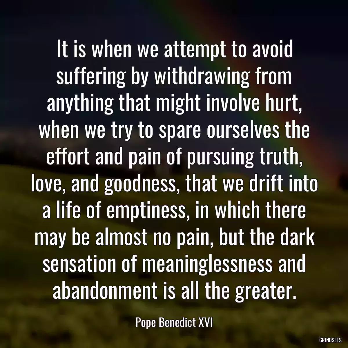 It is when we attempt to avoid suffering by withdrawing from anything that might involve hurt, when we try to spare ourselves the effort and pain of pursuing truth, love, and goodness, that we drift into a life of emptiness, in which there may be almost no pain, but the dark sensation of meaninglessness and abandonment is all the greater.