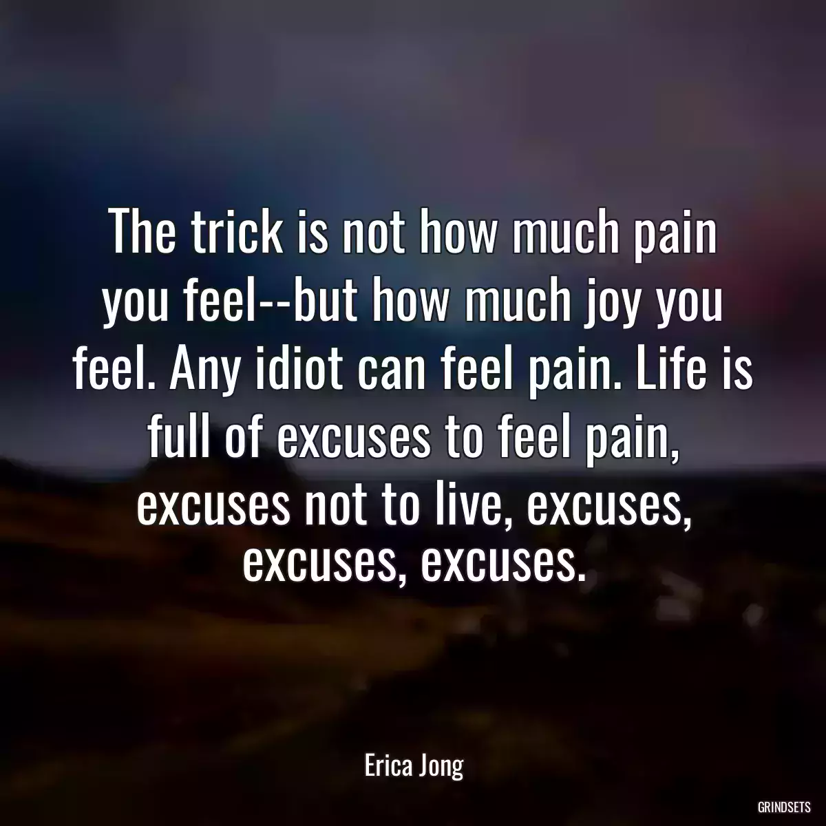 The trick is not how much pain you feel--but how much joy you feel. Any idiot can feel pain. Life is full of excuses to feel pain, excuses not to live, excuses, excuses, excuses.