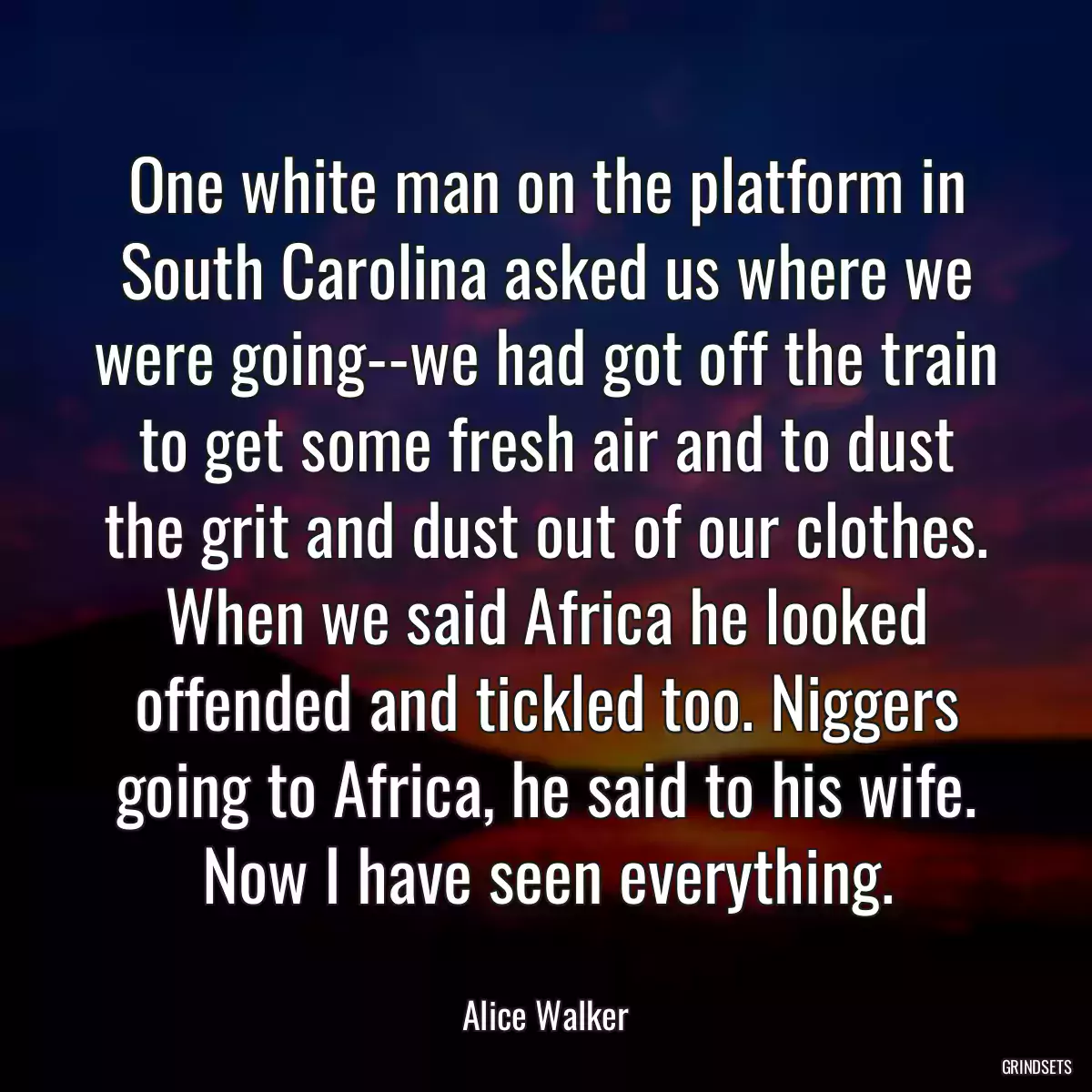 One white man on the platform in South Carolina asked us where we were going--we had got off the train to get some fresh air and to dust the grit and dust out of our clothes. When we said Africa he looked offended and tickled too. Niggers going to Africa, he said to his wife. Now I have seen everything.