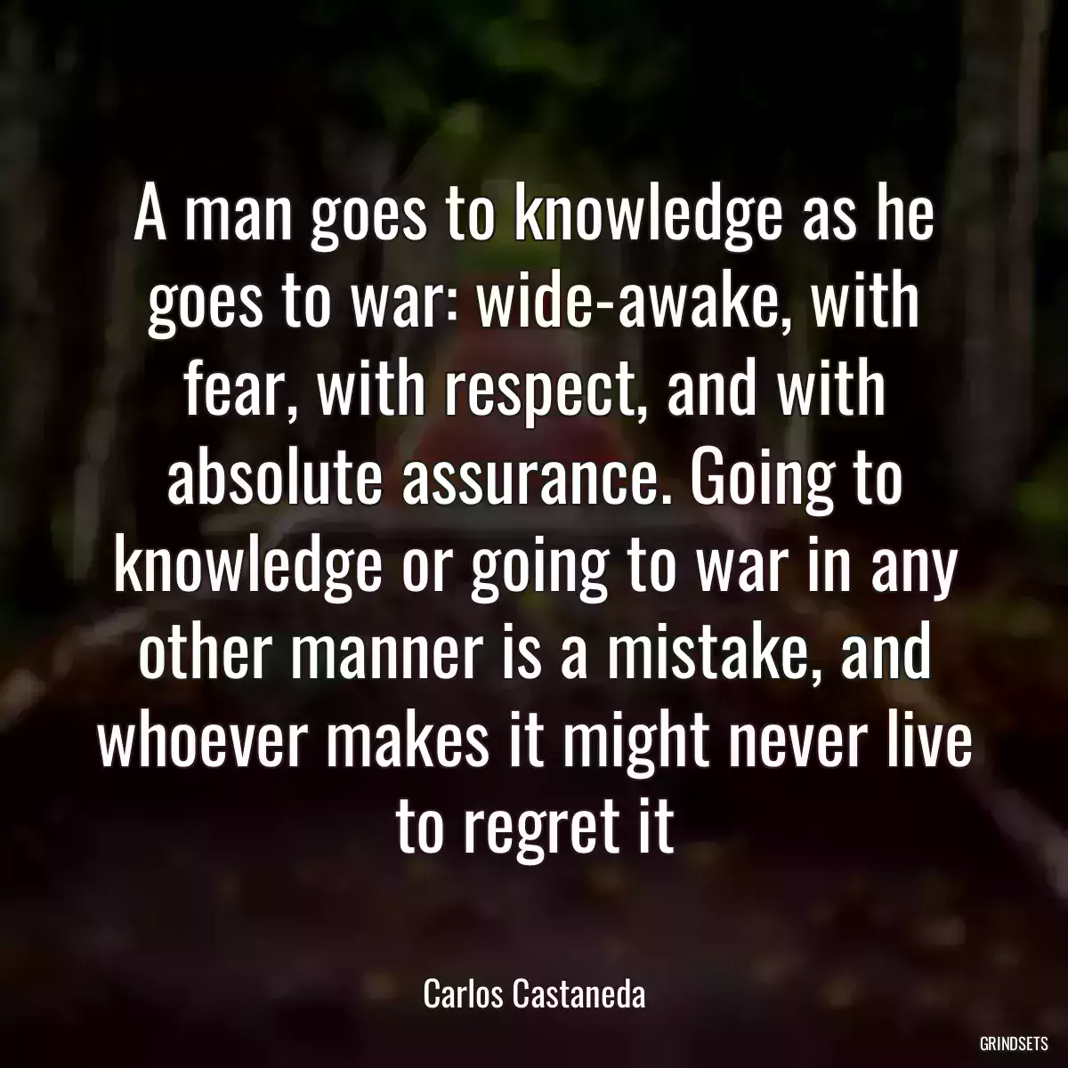 A man goes to knowledge as he goes to war: wide-awake, with fear, with respect, and with absolute assurance. Going to knowledge or going to war in any other manner is a mistake, and whoever makes it might never live to regret it