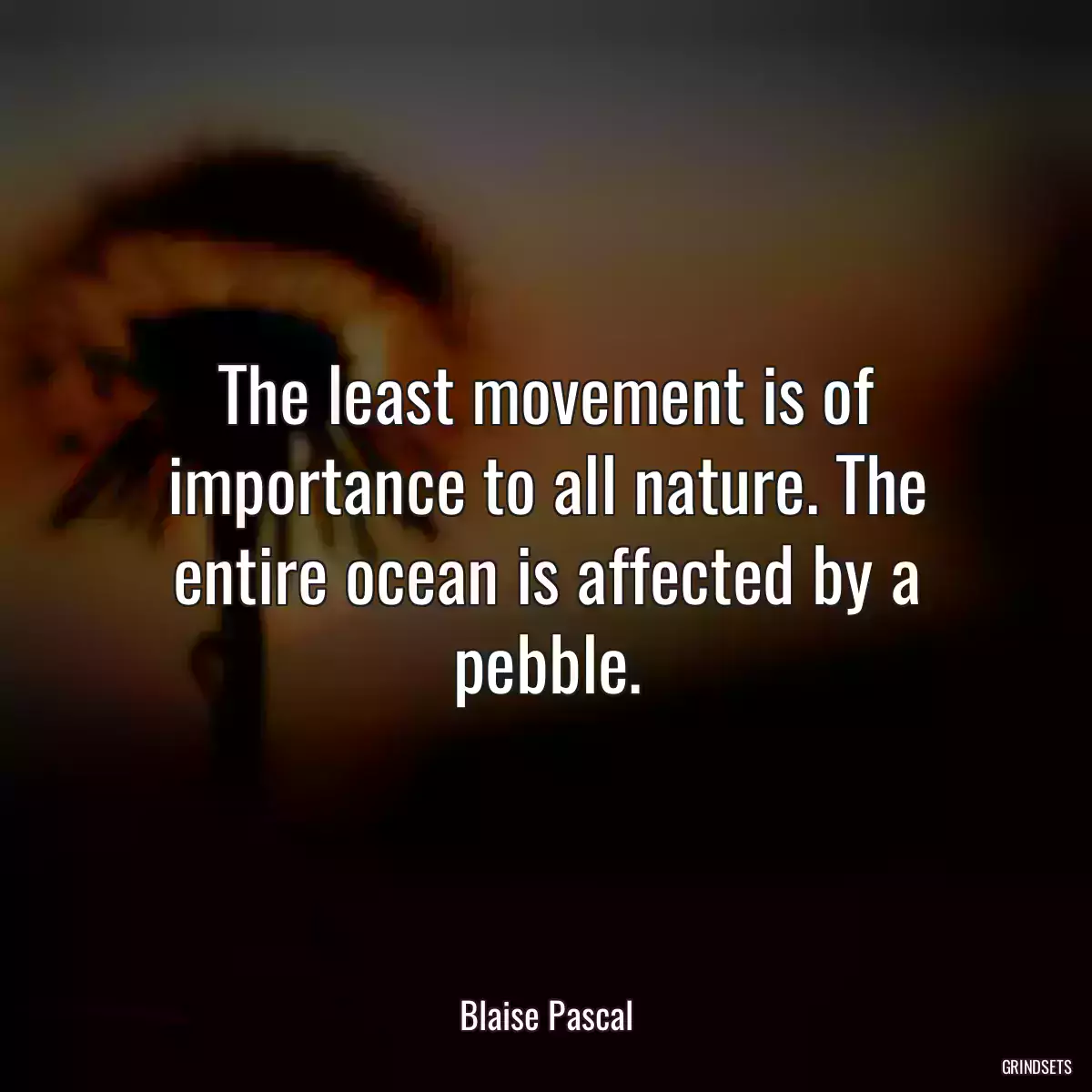 The least movement is of importance to all nature. The entire ocean is affected by a pebble.