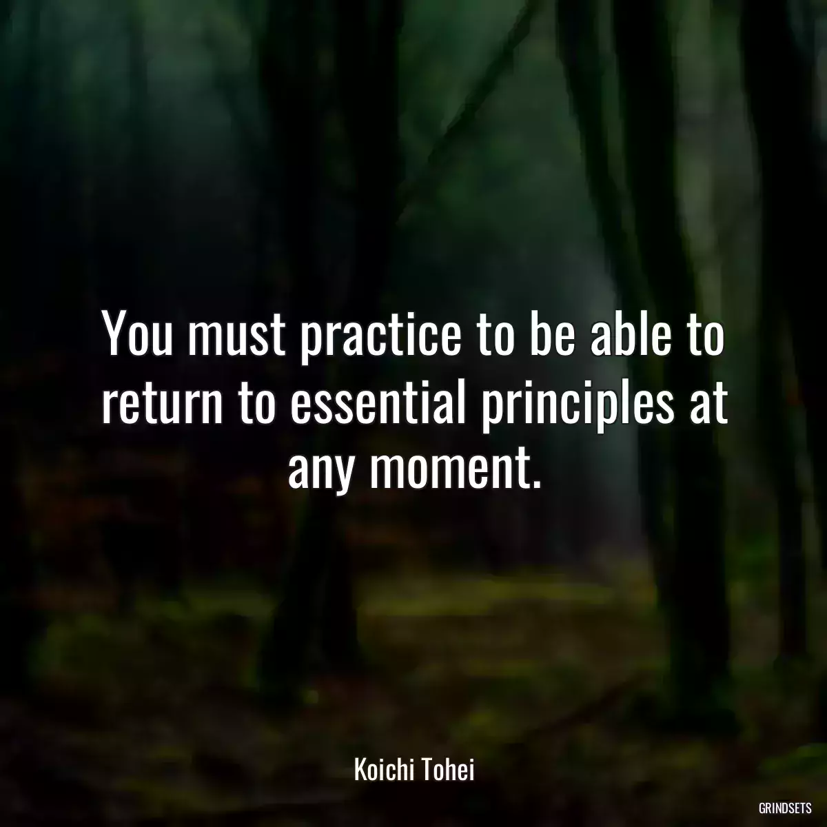 You must practice to be able to return to essential principles at any moment.