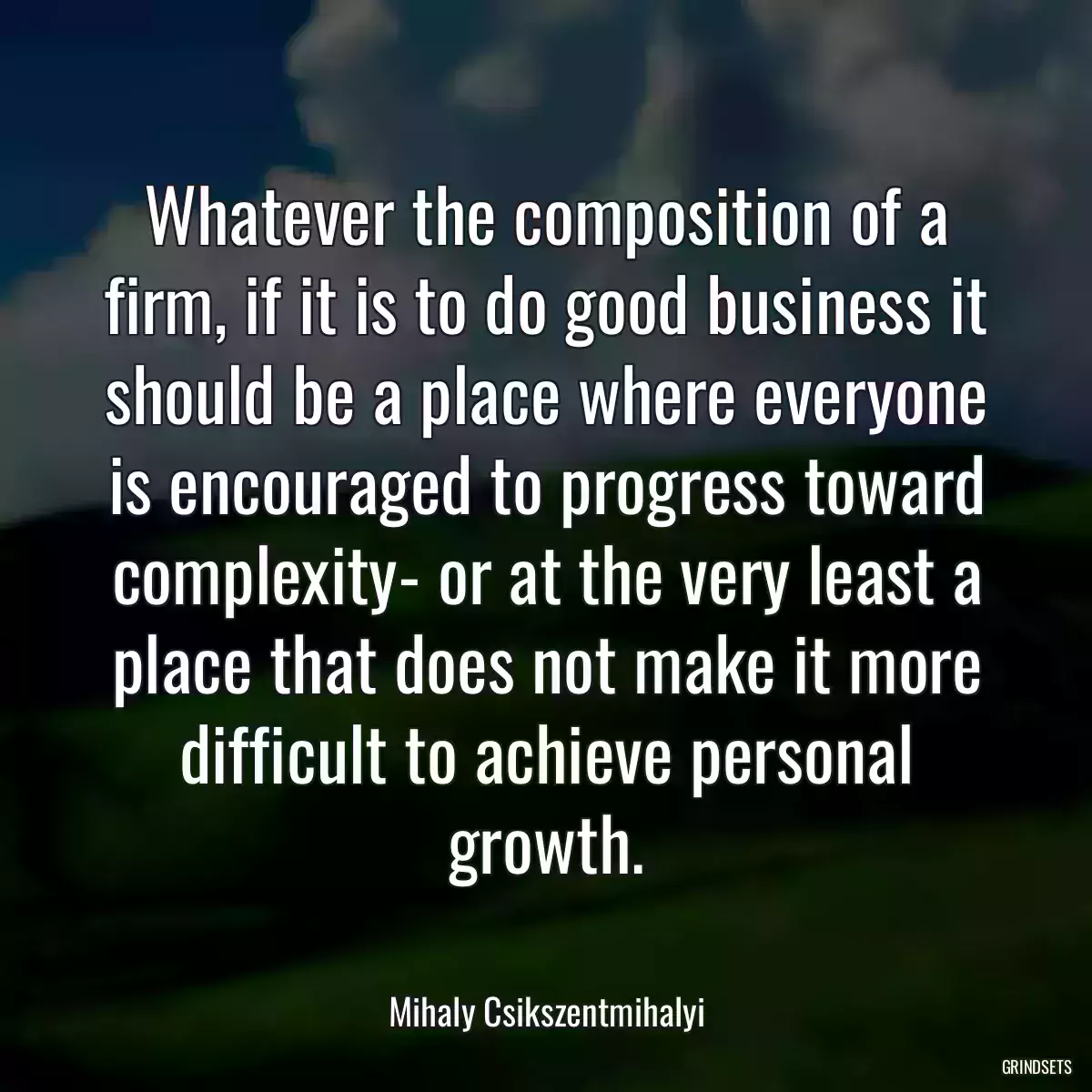 Whatever the composition of a firm, if it is to do good business it should be a place where everyone is encouraged to progress toward complexity- or at the very least a place that does not make it more difficult to achieve personal growth.