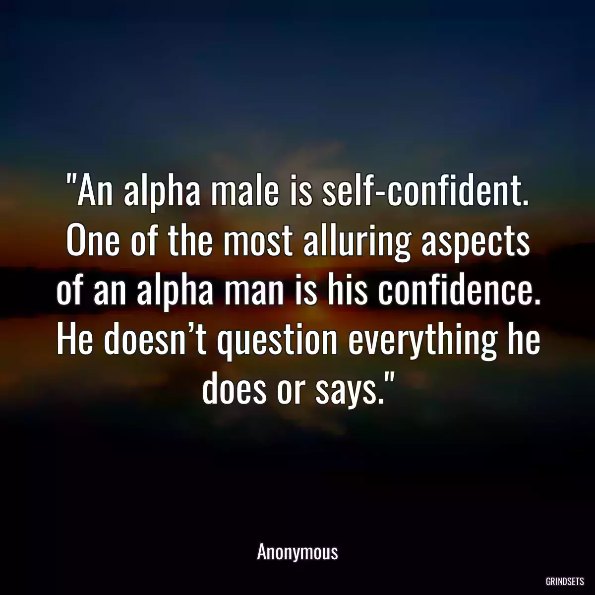 An alpha male is self-confident. One of the most alluring aspects of an alpha man is his confidence. He doesn’t question everything he does or says.