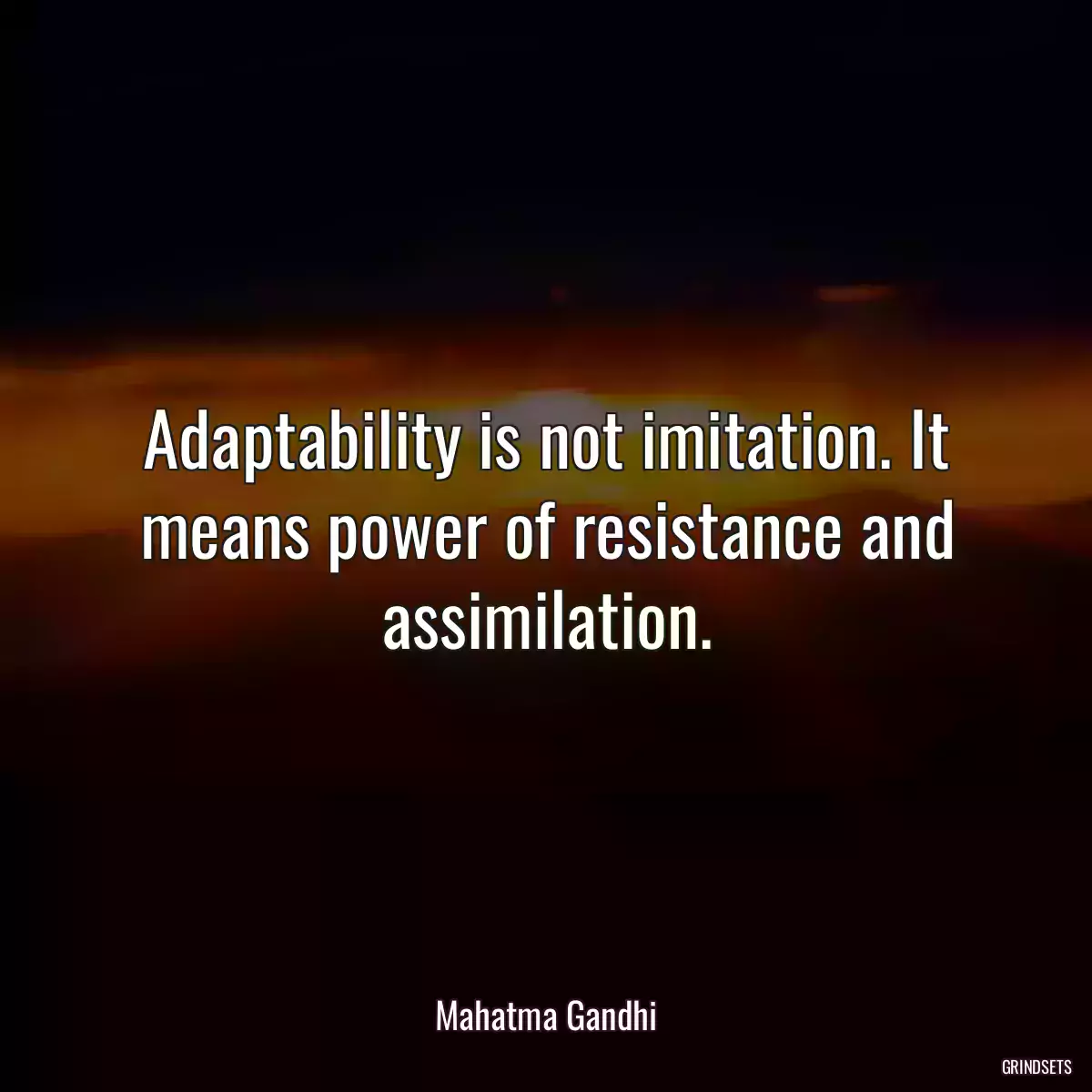 Adaptability is not imitation. It means power of resistance and assimilation.