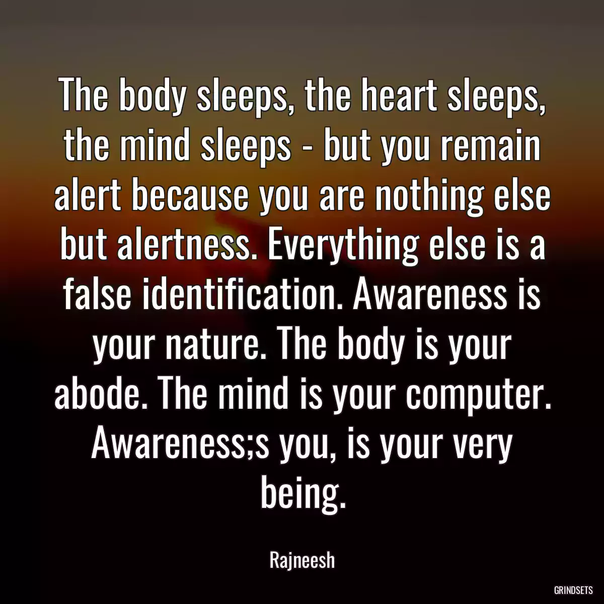 The body sleeps, the heart sleeps, the mind sleeps - but you remain alert because you are nothing else but alertness. Everything else is a false identification. Awareness is your nature. The body is your abode. The mind is your computer. Awareness;s you, is your very being.