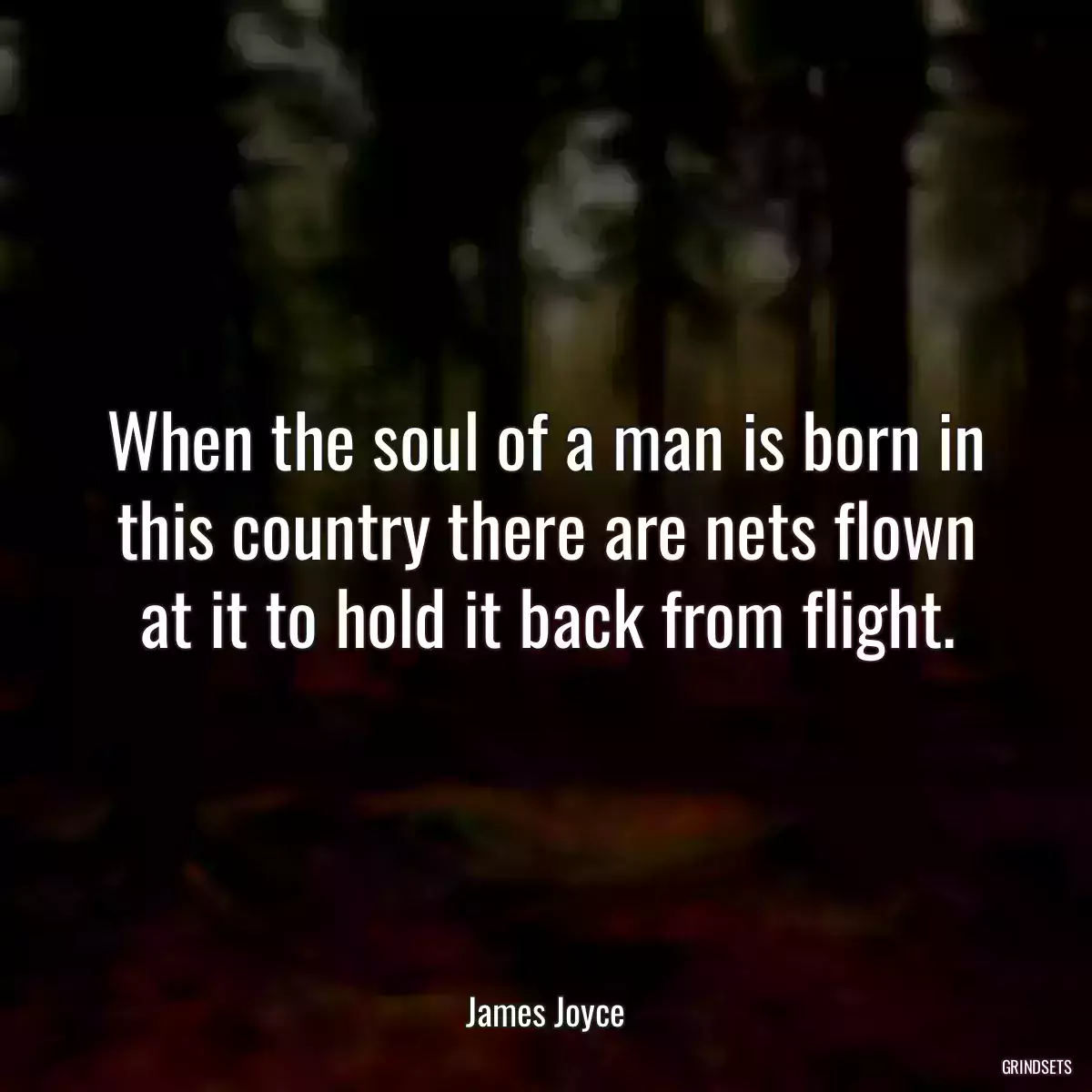 When the soul of a man is born in this country there are nets flown at it to hold it back from flight.