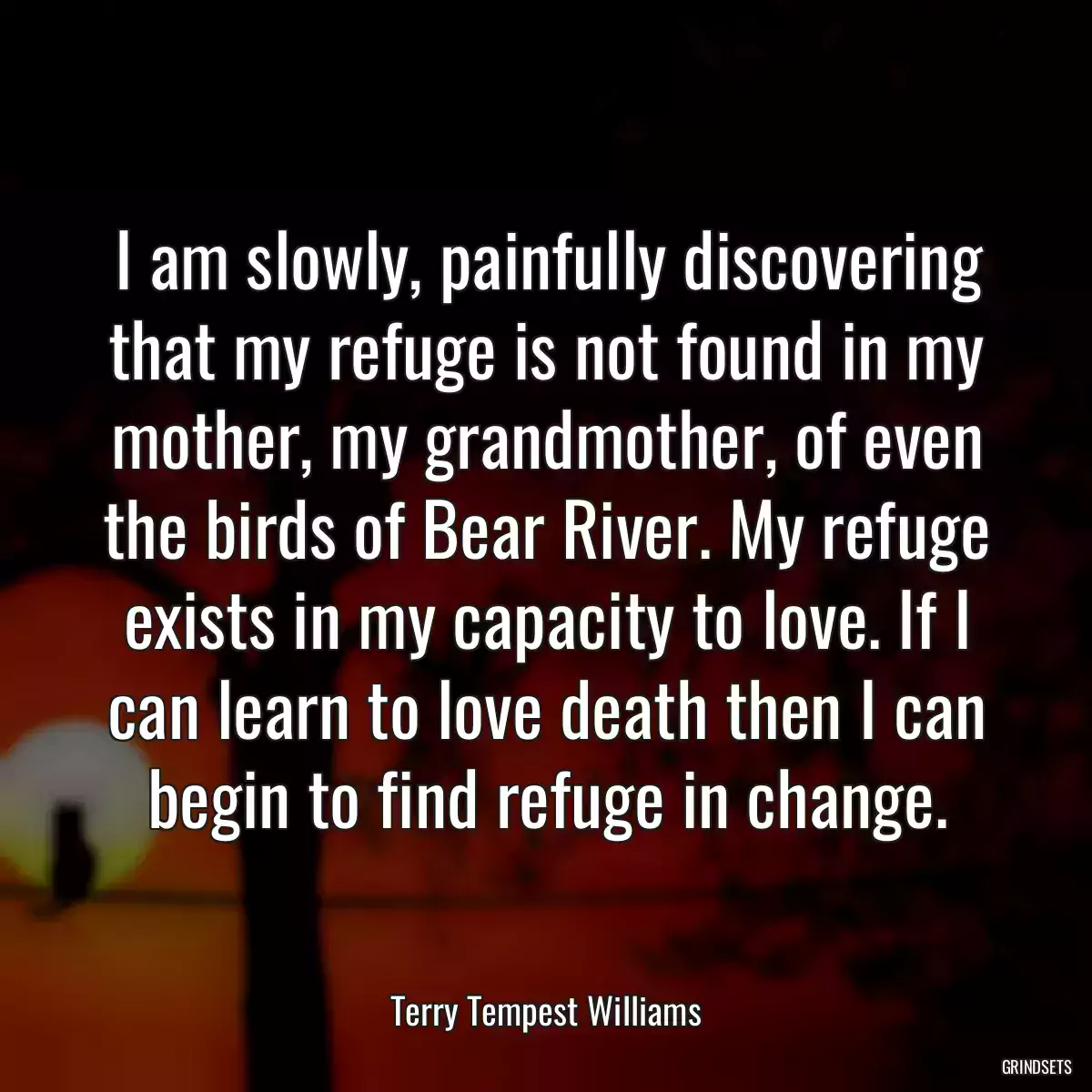 I am slowly, painfully discovering that my refuge is not found in my mother, my grandmother, of even the birds of Bear River. My refuge exists in my capacity to love. If I can learn to love death then I can begin to find refuge in change.