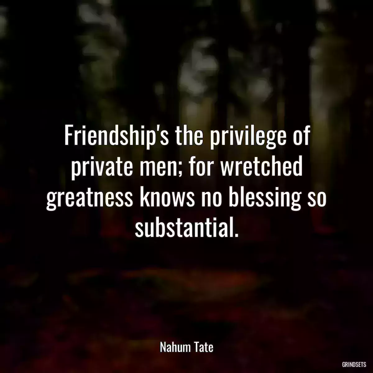 Friendship\'s the privilege of private men; for wretched greatness knows no blessing so substantial.