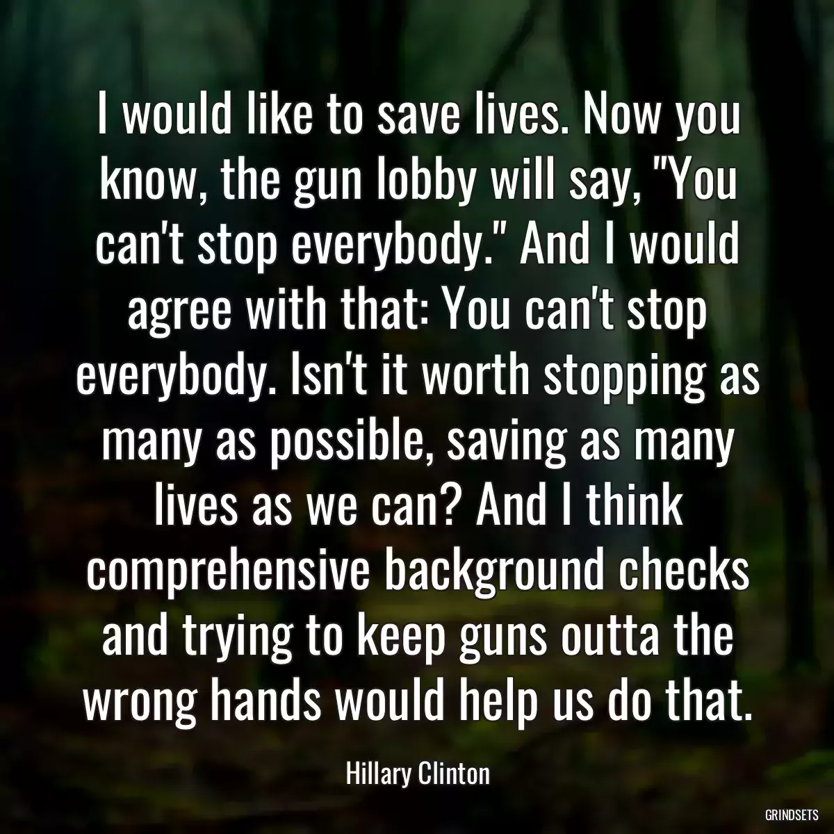 I would like to save lives. Now you know, the gun lobby will say, \