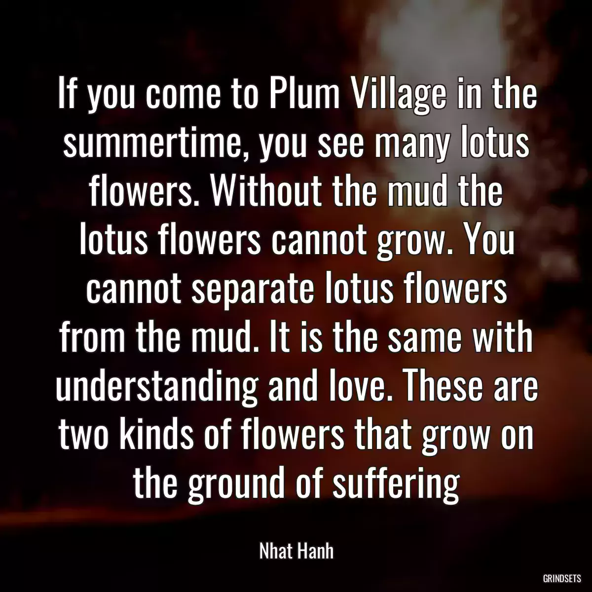 If you come to Plum Village in the summertime, you see many lotus flowers. Without the mud the lotus flowers cannot grow. You cannot separate lotus flowers from the mud. It is the same with understanding and love. These are two kinds of flowers that grow on the ground of suffering