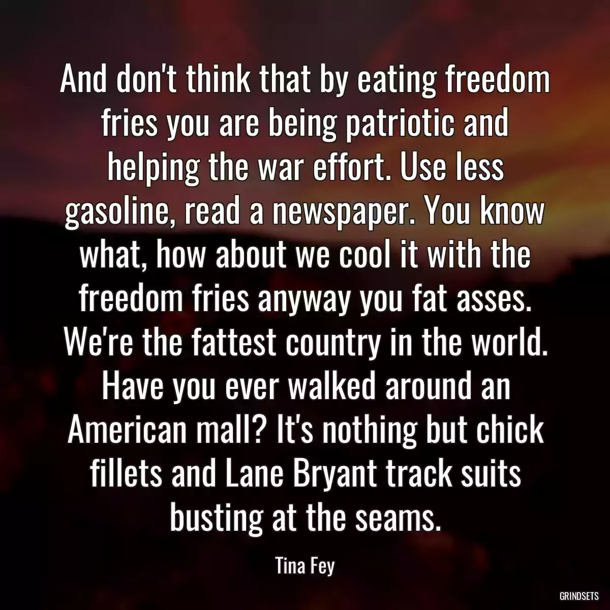 And don\'t think that by eating freedom fries you are being patriotic and helping the war effort. Use less gasoline, read a newspaper. You know what, how about we cool it with the freedom fries anyway you fat asses. We\'re the fattest country in the world. Have you ever walked around an American mall? It\'s nothing but chick fillets and Lane Bryant track suits busting at the seams.