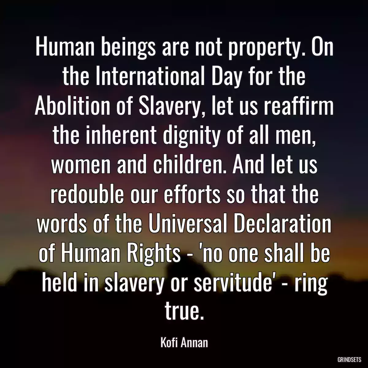 Human beings are not property. On the International Day for the Abolition of Slavery, let us reaffirm the inherent dignity of all men, women and children. And let us redouble our efforts so that the words of the Universal Declaration of Human Rights - \'no one shall be held in slavery or servitude\' - ring true.