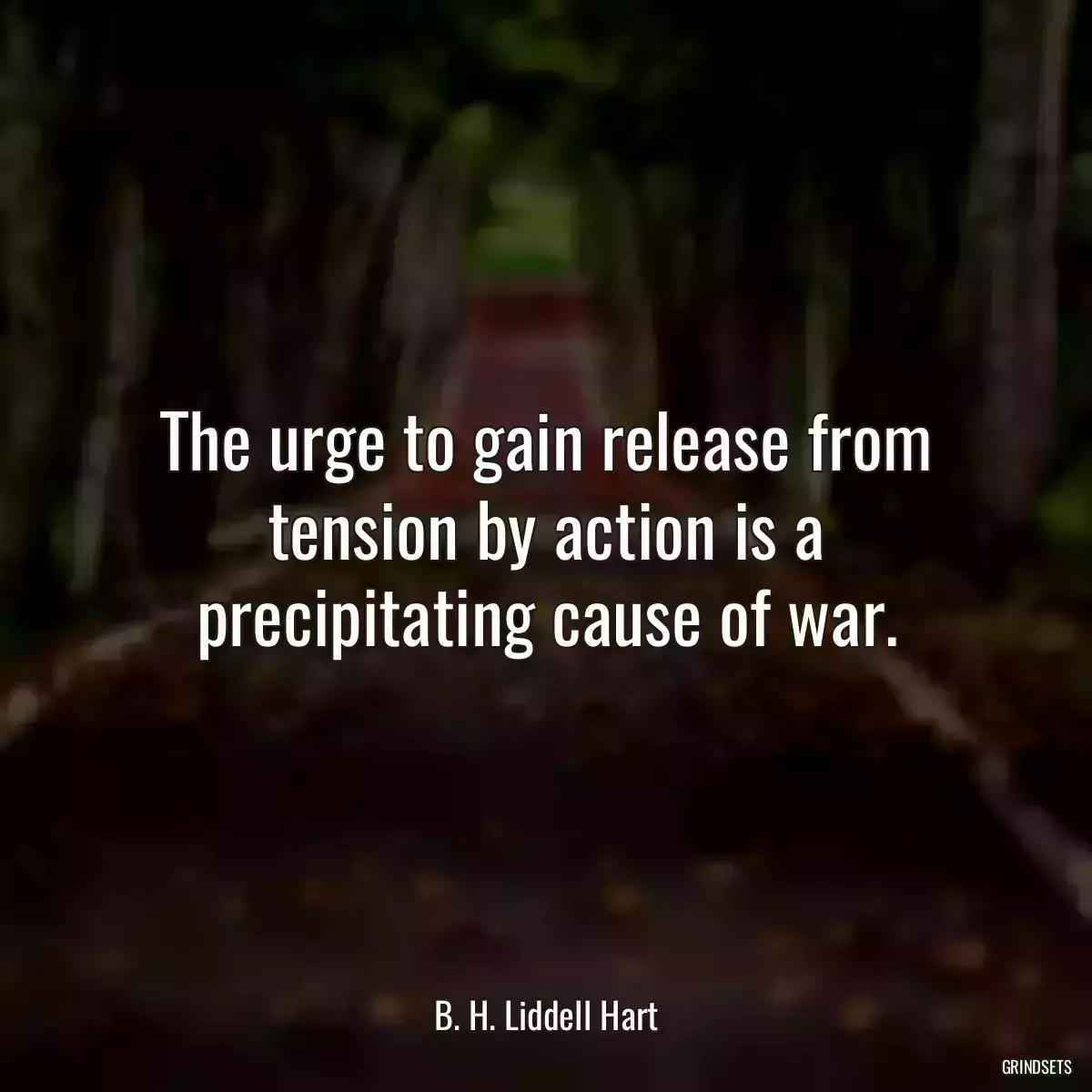 The urge to gain release from tension by action is a precipitating cause of war.