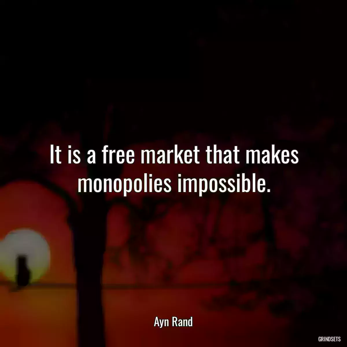 It is a free market that makes monopolies impossible.