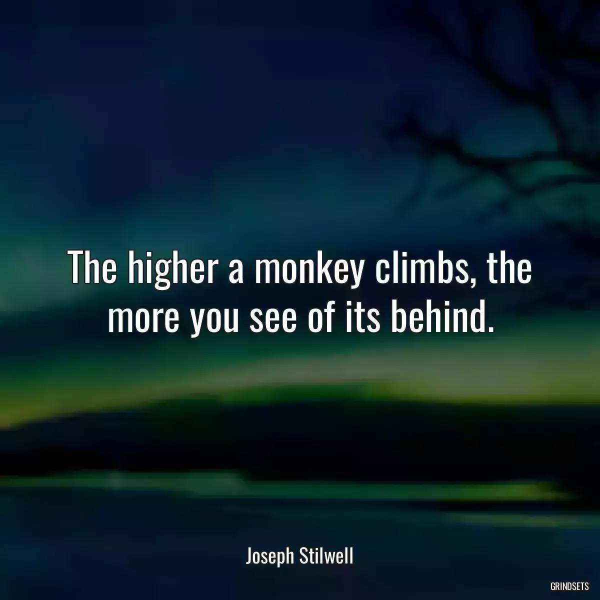 The higher a monkey climbs, the more you see of its behind.