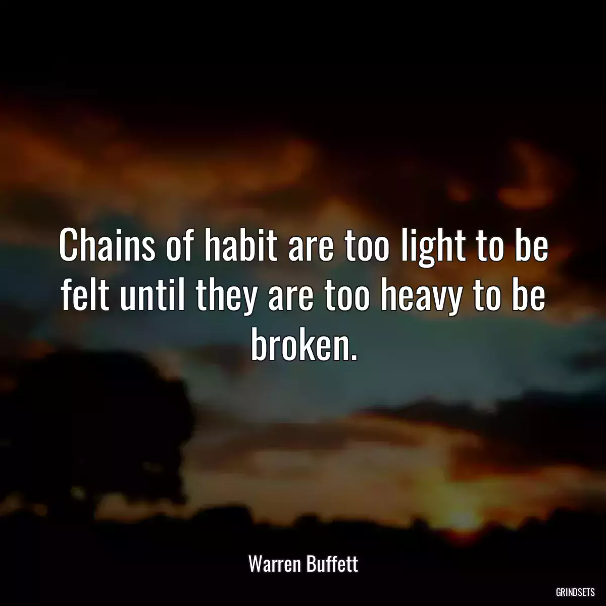 Chains of habit are too light to be felt until they are too heavy to be broken.