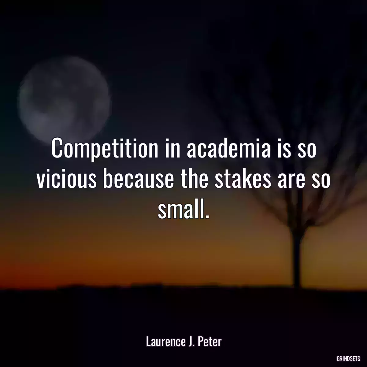 Competition in academia is so vicious because the stakes are so small.