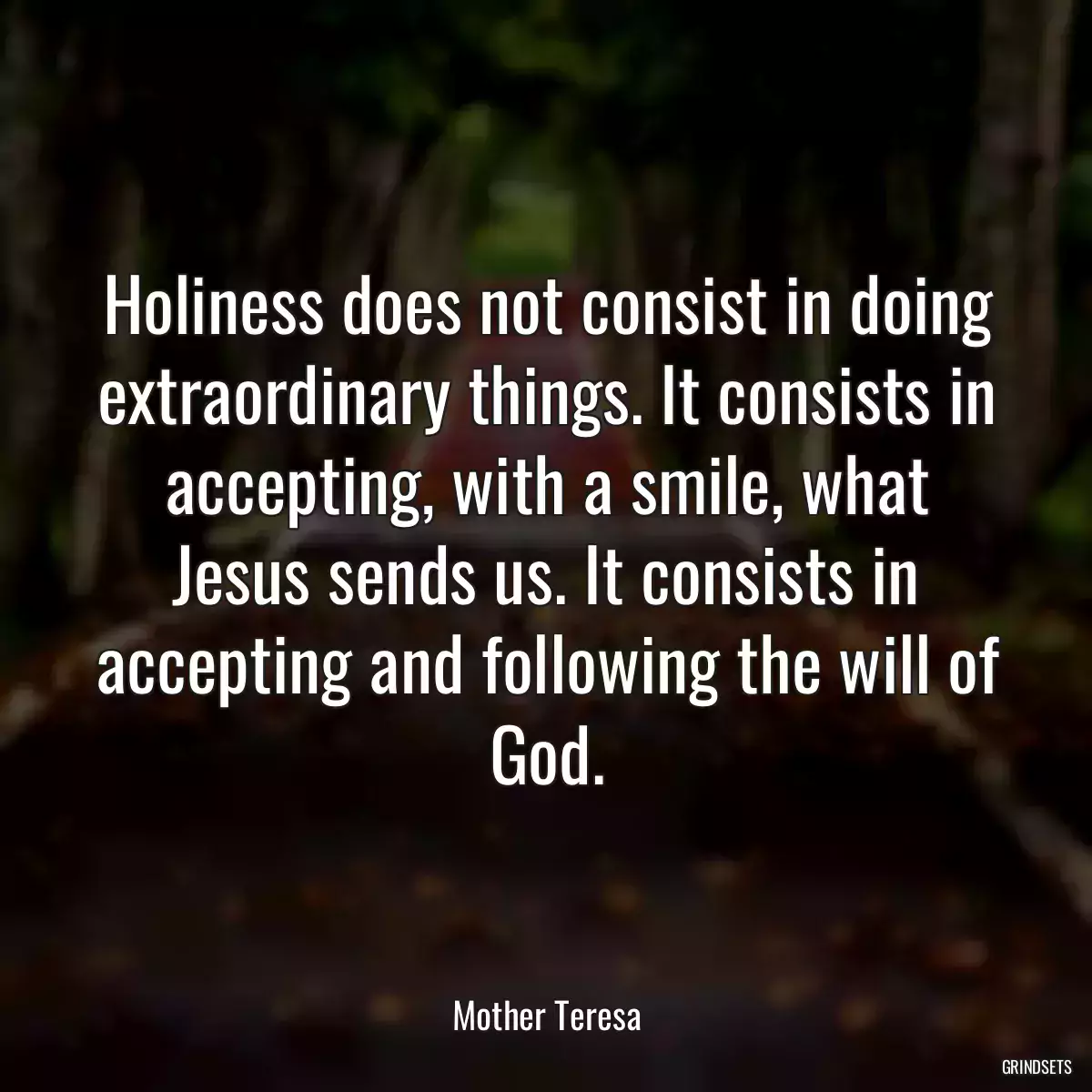 Holiness does not consist in doing extraordinary things. It consists in accepting, with a smile, what Jesus sends us. It consists in accepting and following the will of God.