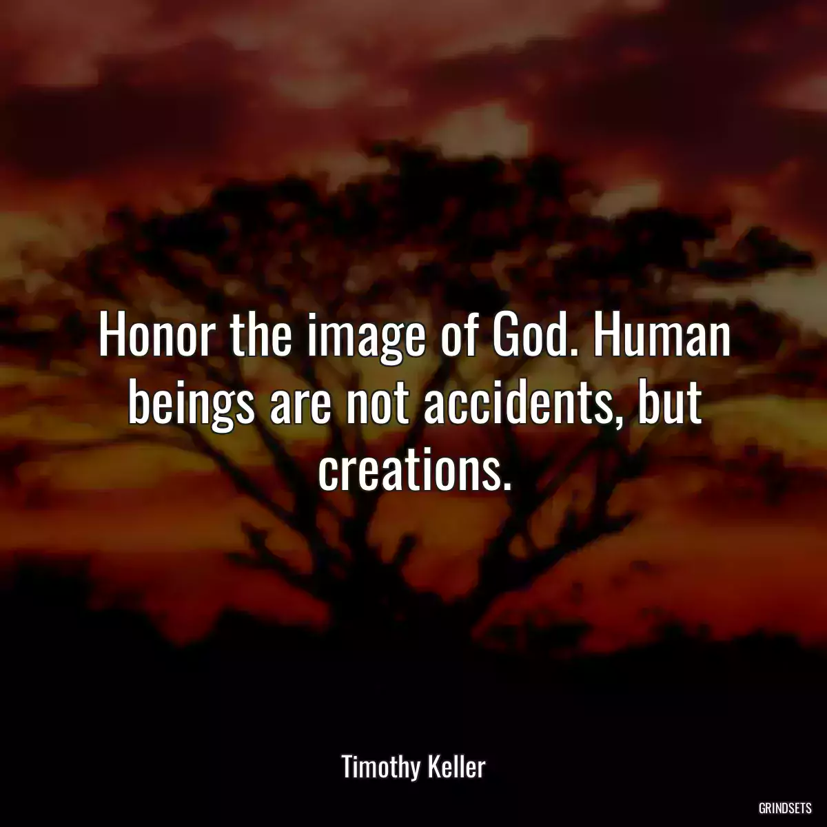 Honor the image of God. Human beings are not accidents, but creations.