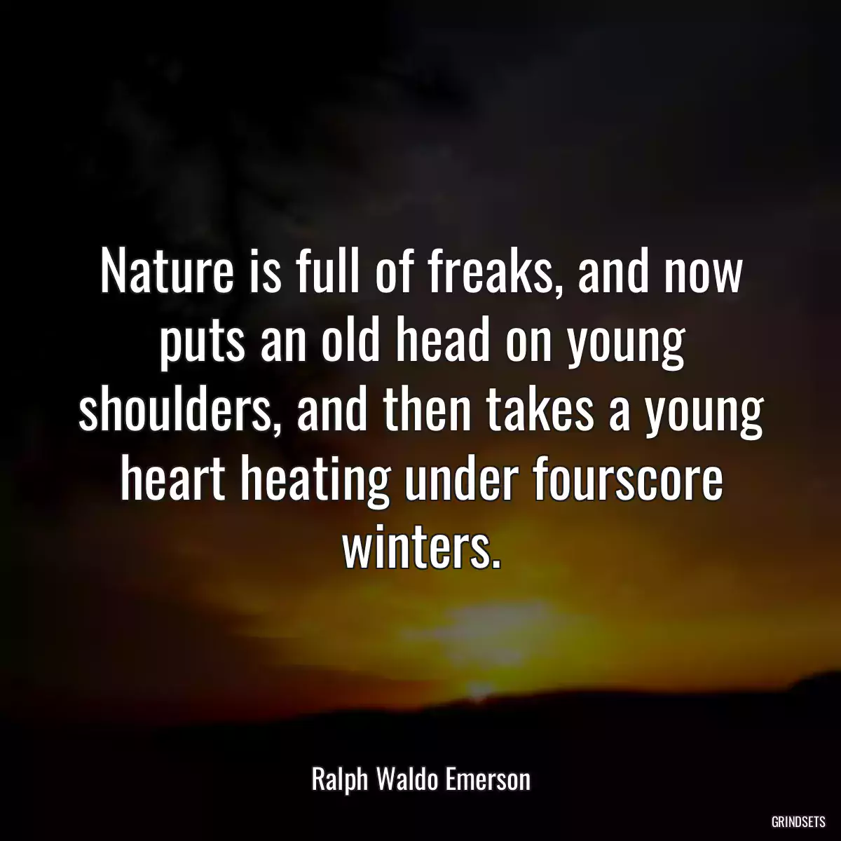 Nature is full of freaks, and now puts an old head on young shoulders, and then takes a young heart heating under fourscore winters.