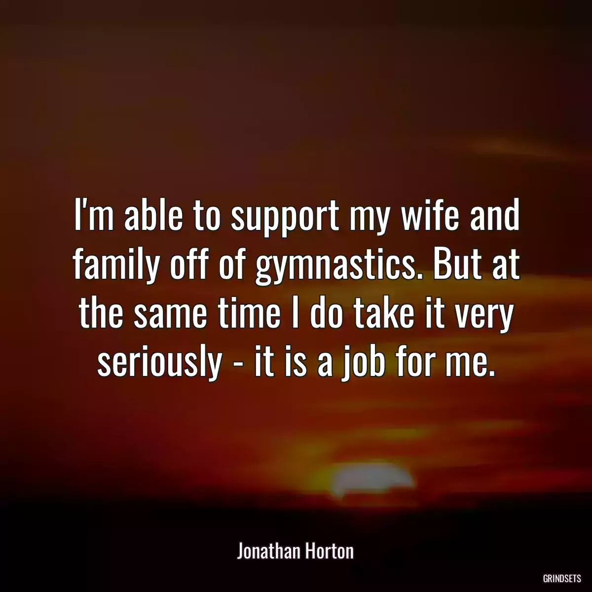 I\'m able to support my wife and family off of gymnastics. But at the same time I do take it very seriously - it is a job for me.